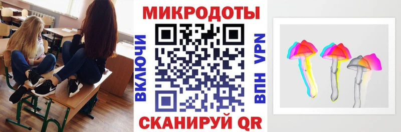 Псилоцибиновые грибы Psilocybe Костерёво